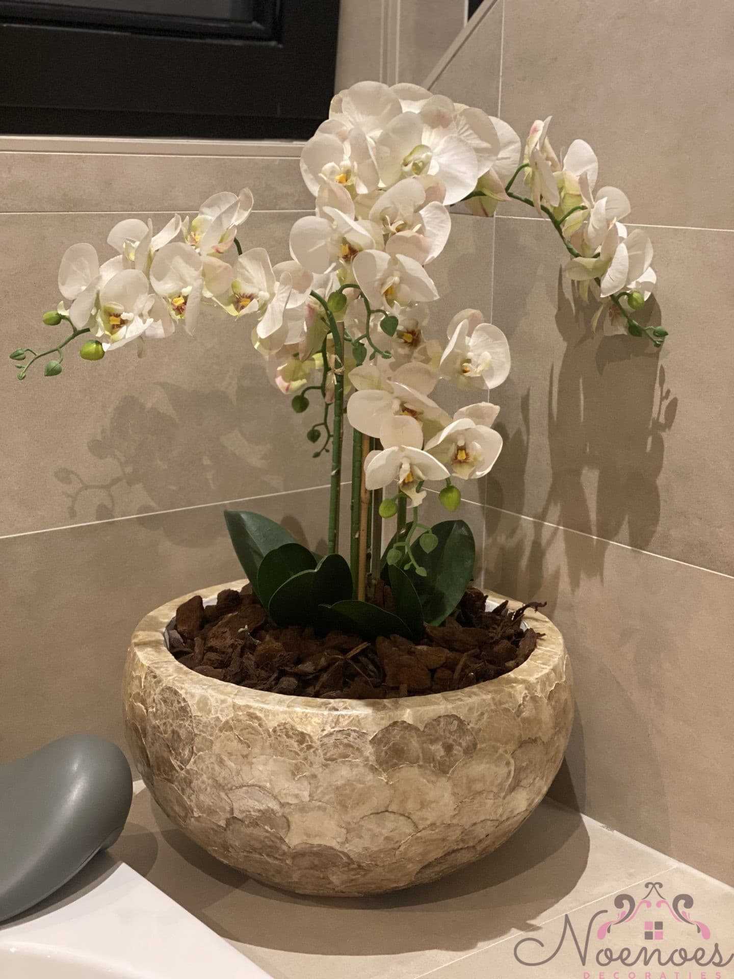 Schelpenvaas Capiz opgemaakt met witte orchideeën 40 cm