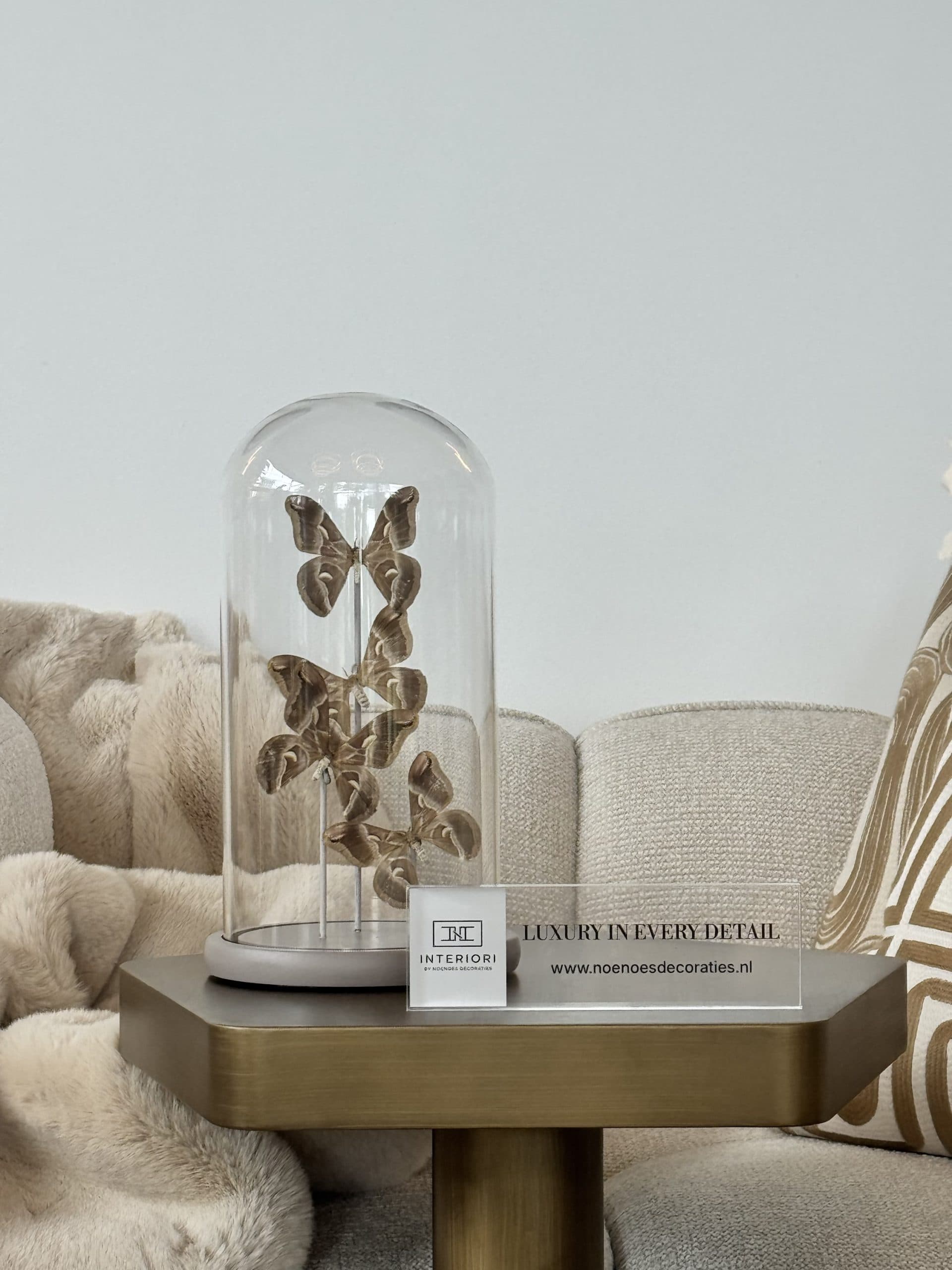 Luxe stolp taupe met 4x echte vlinders  bruin beige Ivory