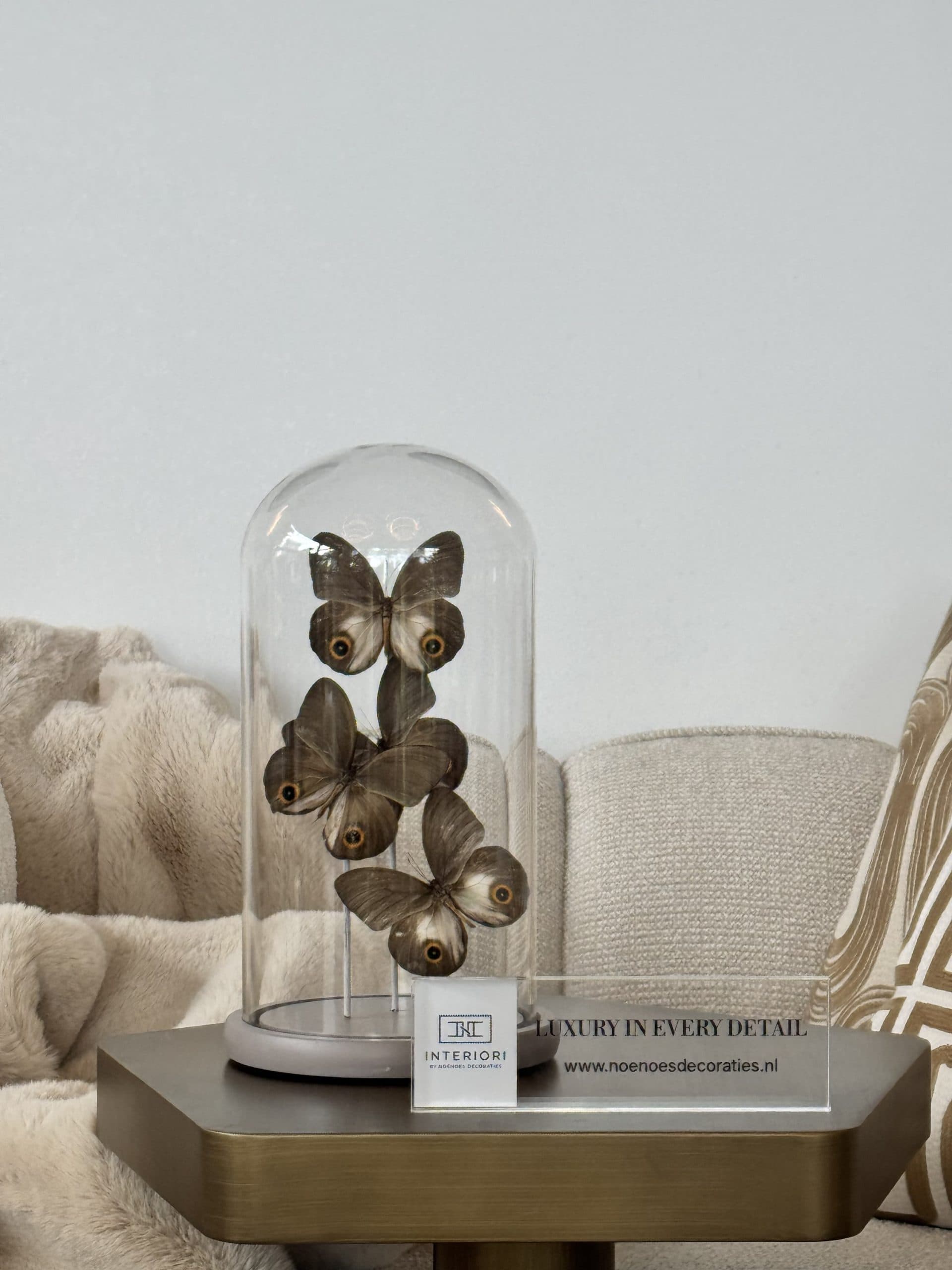 Luxe stolp taupe met 4x echte vlinders  bruin beige Ivory uil