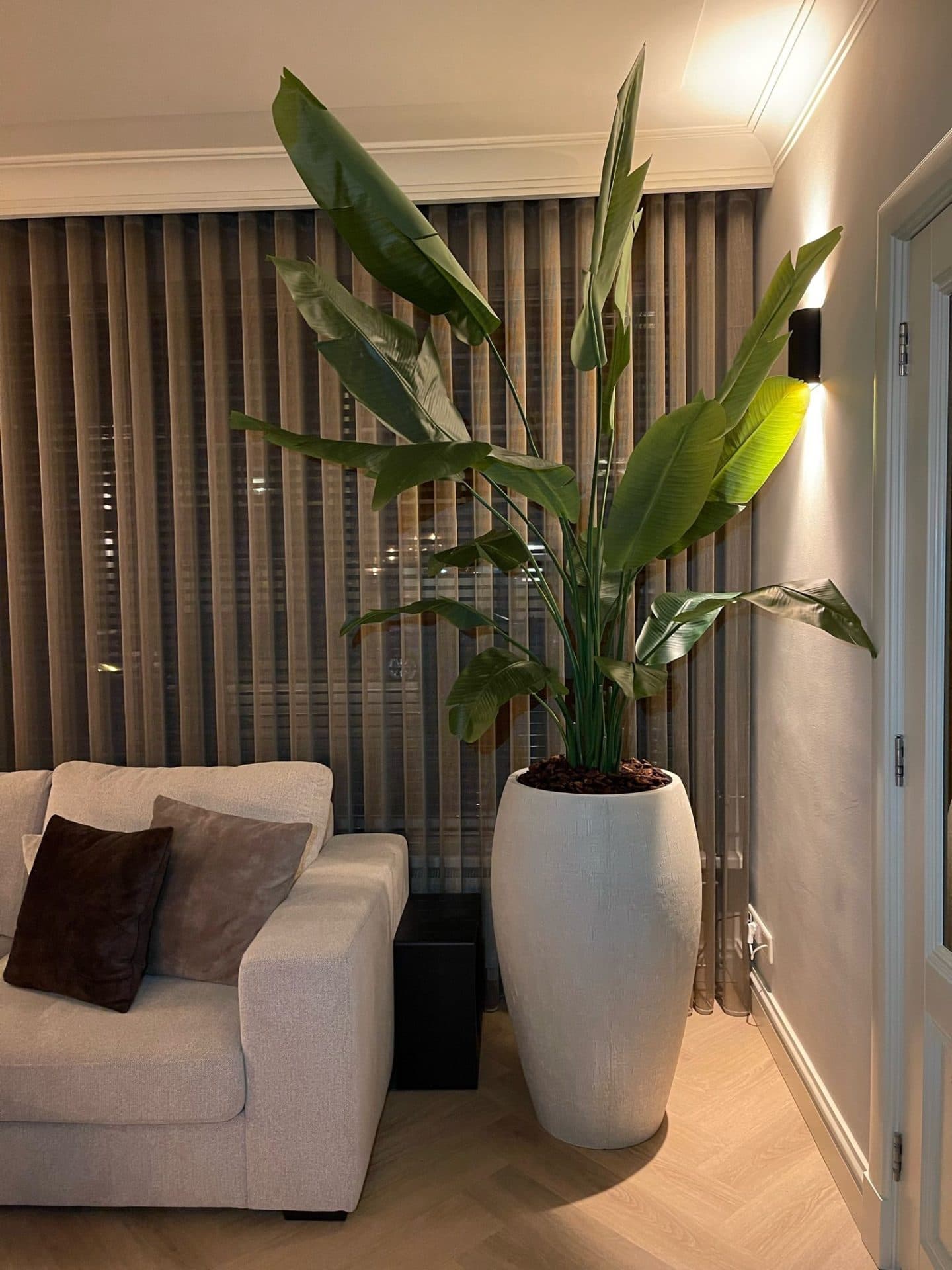 Vaas beige met XXL strelitzia kunstplant, totaalhoogte 250-260 cm